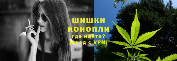 не бодяженный Бородино