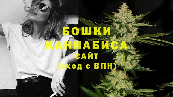 не бодяженный Бородино