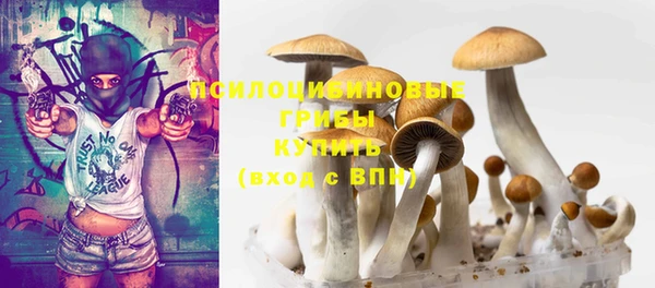 альфа пвп Богородицк