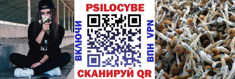 Псилоцибиновые грибы прущие грибы  цена   Северск 